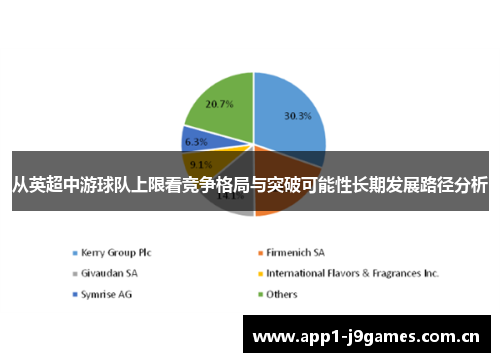 从英超中游球队上限看竞争格局与突破可能性长期发展路径分析 从英超中游球队上限看竞争格局与突破可能性长期发展路径分析
